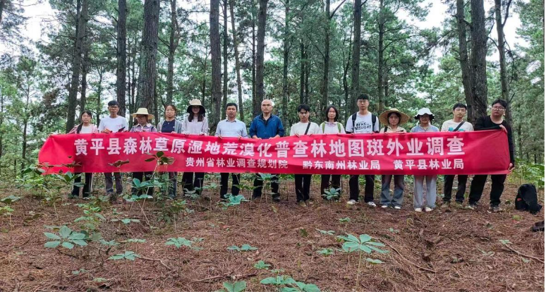 3124f320f322776cfb6fa40e0111b6eb